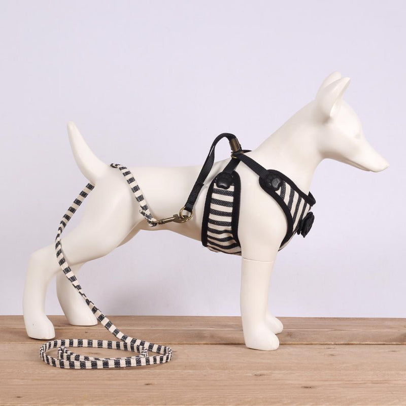 Striped Fancy Geschirr + passende Hundeleine - Dogita.de